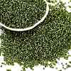 Baking Paint Silver Lined Glass Seed Beads SEED-H003-09D-1