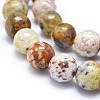 Natural Yellow Opal Beads Strands G-I213-18-10mm-3