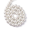 Eco-Friendly Glass Pearl Beads Strands HY-A008-10mm-RB001-4