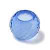Glass European Beads GLAA-XCP0001-42C-1