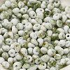 Baking Paint Glass Seed Beads X1-SEED-F006-01A-05-3
