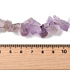 Natural Amethyst Beads Strands G-S386-B05-5