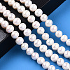 Natural Cultured Freshwater Pearl Beads Strands PEAR-N016-09B-2