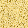 Baking Paint Glass Seed Beads SEED-T006-03B-2