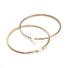 201 Stainless Steel Hoop Earrings EJEW-I245-01D-2
