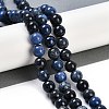 Natural Dumortierite Beads Strands G-G167-A06-10MM-2