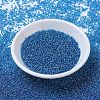 MIYUKI Round Rocailles Beads SEED-G007-RR0291-2