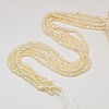 Grade AA Natural Cultured Freshwater Pearl Beads Strands PEAR-L003-C-03-01-X-2
