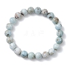 Natural Larimar Round Beads Stretch Bracelets for Women Men BJEW-JB13382-01-2