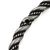 Viking 304 Stainless Steel Twisted Eagle Open Cuff Bangles for Men BJEW-U001-02AS-4