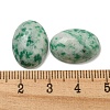 Natural Green Spot Jasper Cabochons G-C115-01A-12-3