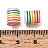 Transparent Rainbow Stripe Opaque Resin Beads RE-CBA0A57-12B-3