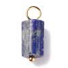 Natural Gemstone Pendants PALLOY-JF01226-3