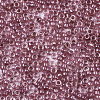Glass Seed Beads SEED-S042-07A-04-3