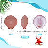 40Pcs Natural Shell for Aquarium Fish Tank Ornaments SHEL-PH0001-68-2