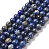 Natural Lapis Lazuli Beads Strands G-E483-17-10mm-1