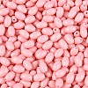 Baking Paint Glass Seed Beads SEED-T007-15F-2