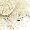 Baking Paint Glass Seed Beads SEED-L011-09A-17-1