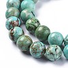 Natural Magnesite Beads Strands TURQ-F017-02-10mm-3