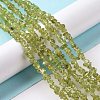 Natural Peridot Beads Strands G-P332-48-01-4