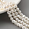 Natural Cultured Freshwater Pearl Beads Strands PEAR-A006-07H-2