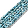 Natural Apatite Beads Strands G-G858-01B-1