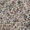 TOHO 6/0 Demi Round Beads X-SEED-DR06-PF21F-3