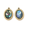 Natural Paua Shell Pendants STAS-G397-08G-02-1