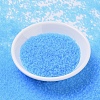 MIYUKI Round Rocailles Beads X-SEED-G007-RR0148F-2