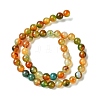 Natural Peacock Agate Beads Strands G-G444-8mm-02-4