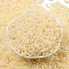 Glass Seed Beads SEED-K009-02B-16-2