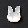 Natural White Shelll Beads BSHE-C003-01C-3