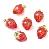 Transparent Acrylic Pendants OACR-I021-02A-1
