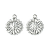 Non-Tarnish 304 Stainless Steel Charms LS-STAS-L269-062P-2