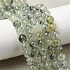 Natural Prehnite Beads Strands G-G457-6mm-03-7