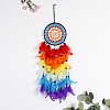 Woven Web/Net with Feather Wall Hanging Decorations PW-WG87714-01-3