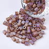 6/0 Transparent Glass Seed Beads SEED-S027-03B-02-1