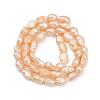 Natural Cultured Freshwater Pearl Beads Strands PEAR-P064-20H-02B-3