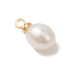 Natural Freshwater Pearl Rice Charms PALLOY-JF04858-01-4