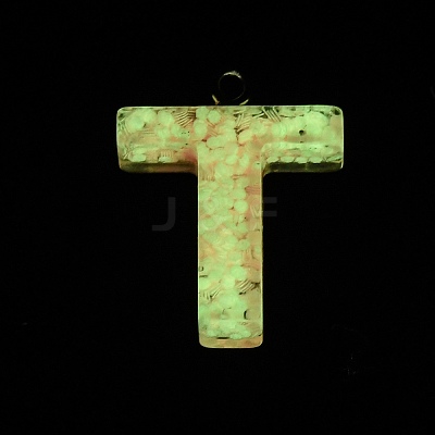 Luminous Resin Pendants RESI-I059-T01-1