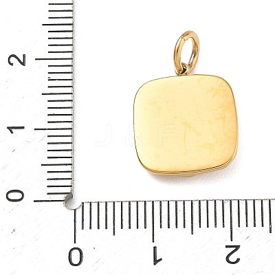 304 Stainless Steel Rhinestone Pendants FIND-T075-06G-1