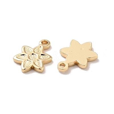 Rack Plating Brass Charms KK-D083-21G-1