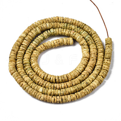 Natural Sea Shell Beads Strands SSHEL-N032-22E-1
