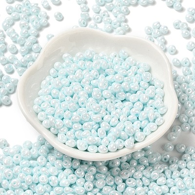 6/0 Glass Seed Beads SEED-M012-01A-13-1