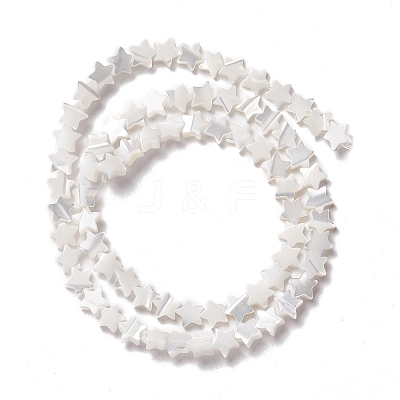 Natural Trochid Shell/Trochus Shell Beads SSHEL-O001-25A-01-1