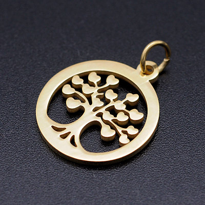 304 Stainless Steel Pendants STAS-T046-JA350-2-1