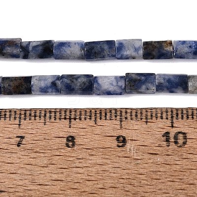 Natural Blue Spot Jasper Beads Strands GG-N002-01A-25-1