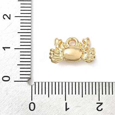 Alloy Charms LS-FIND-Z101-04G-04-1