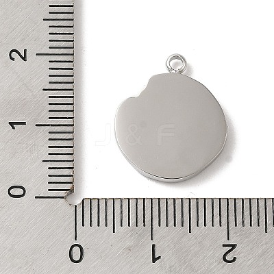 304 Stainless Steel Pendants STAS-B074-08P-07-1