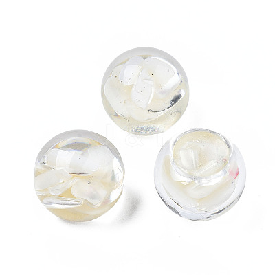 Transparent Acrylic Cabochons TACR-N006-77C-02-1